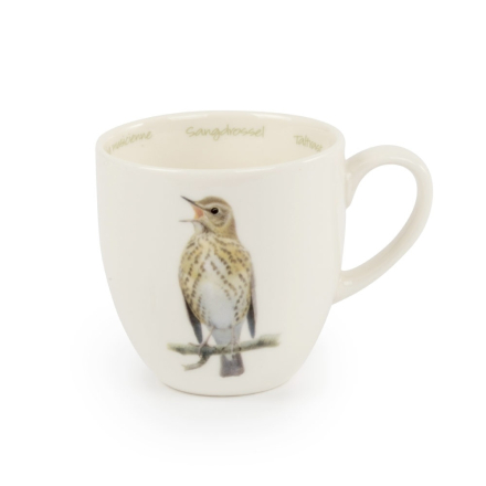 Tasse Singdrossel